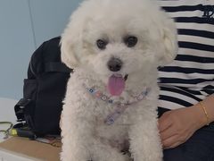 -纳吉亚猫专科动物诊疗中心(蒋宅口分院)