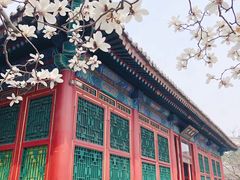 -颐和园