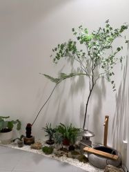 点击看大图 -RUMI日弥美容会所