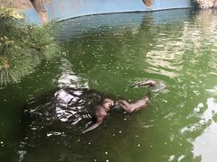 水-北京动物园