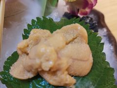 活马粪海胆-鲔屋寿喜烧