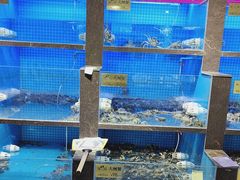 -蟹小姐节气生鲜·年货(高新店)
