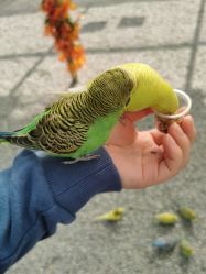 -萌宠亲子动物乐园(槐房万达店)