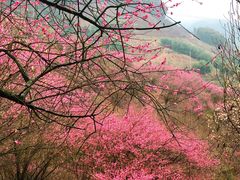 -溪口-滕头旅游景区