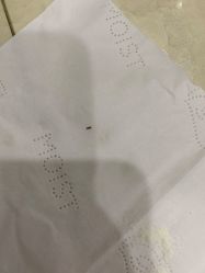 -婴知岛(绿宝广场店)