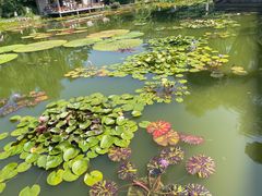 -国家植物园南园