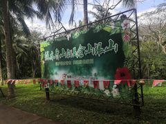 -海南热带野生动植物园