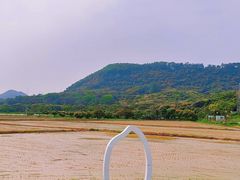 -风云岭森林公园