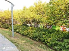 -天鹅湖体育公园