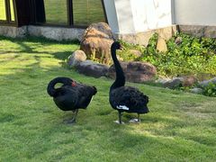 -惠州金海湾嘉华度假酒店