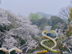 -杭州少年儿童公园