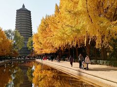 -玲珑塔公园