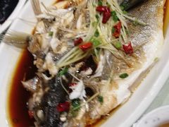 -添福来墨鱼饺子 · 海鲜东北菜(大连星海·黄浦路店)