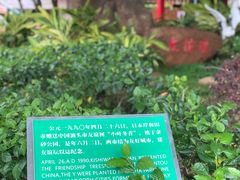 -金砂公园