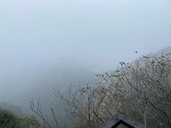 -沂蒙山旅游区云蒙景区(蒙山国家森林公园)