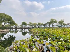 -无锡蠡湖国家湿地公园-蠡园