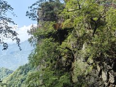 -塔云山