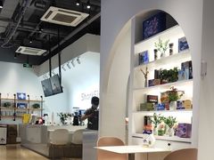 -鲨鱼菲特(金沙湖店)