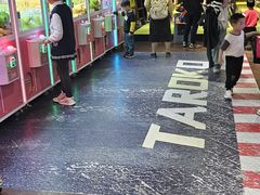 -大鲁阁保龄球(苏州园区店)