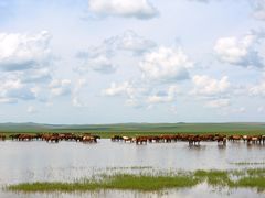 -呼和诺尔旅游景区