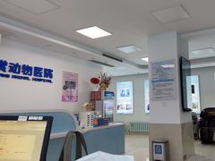 -北京观赏动物医院·24小时大型综合·猫专科·异宠专科