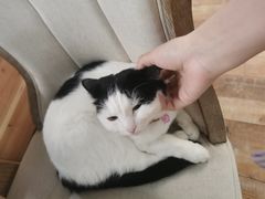 -么么咖啡(燕郊店)