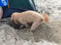 -南戴河国际娱乐中心