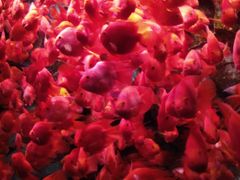 -波塞冬旅游度假区