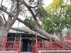 -晋祠公园