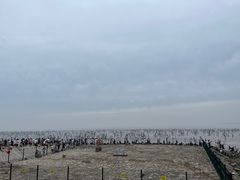 -南汇新城海滩
