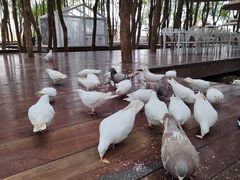 -良渚古城遗址公园