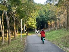 -白鹭湾湿地公园