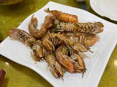 -鸿达渔港
