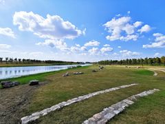 -春花秋色城市公园