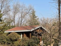 -滨河世纪广场公园