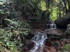 -阳台山森林公园