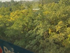 -佘山地铁站-停车场