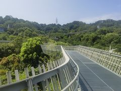 -福道