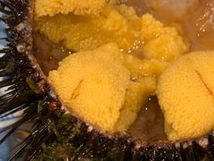 -樱の花亭日本料理店
