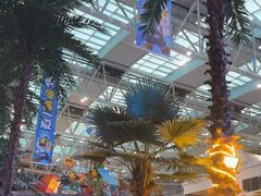 -青岛东方影都融创水世界