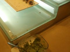 寿司自助台-Aroma Buffet W12 | Dinner & Lunch