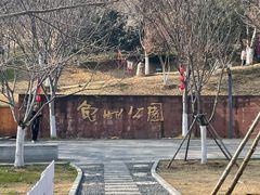 -龟山风景区-龟山电视塔