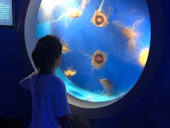 -泉城欧乐堡海洋极地世界