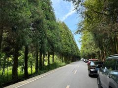 -山王坪喀斯特国家生态公园