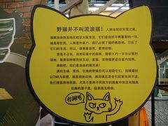 -猫咪博物馆(顶澳仔猫街店)