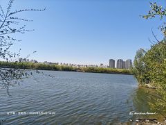 -长白岛森林公园