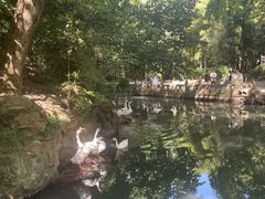 -兰亭风景区