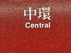 -珍妮曲奇聪明小熊(上环店)