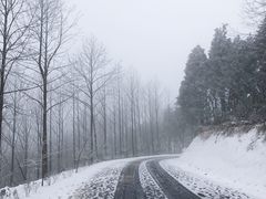 -四明山国家森林公园