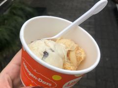 -哈根达斯(陆家浜路店)